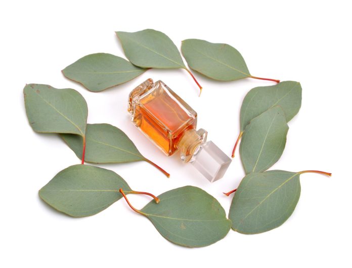 روغن اکالیپتوس